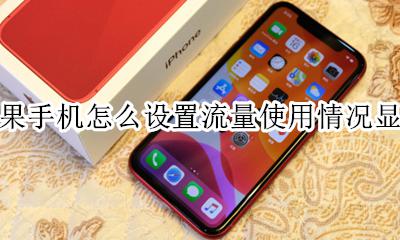 苹果手机上怎么设置流量使用情况 苹果手机怎么设置流量使用情况显示