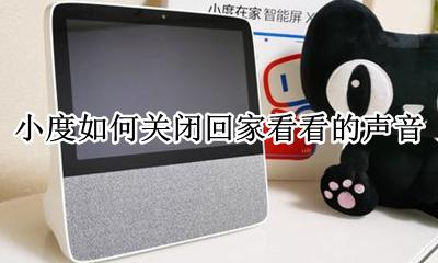小度怎么关闭回家看看 小度如何关闭回家看看的声音