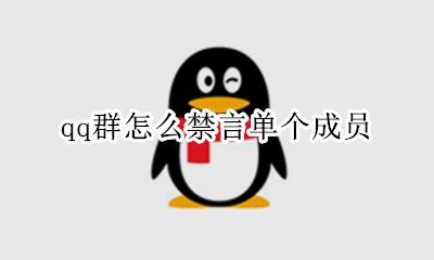 QQ群怎么禁言成员 qq群怎么禁言单个成员