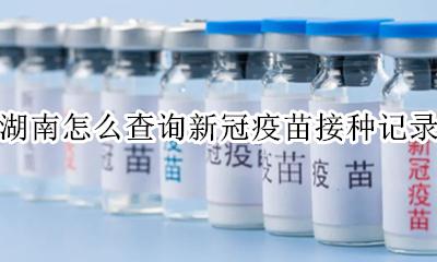 湖南新冠疫苗接种查询系统 湖南怎么查询新冠疫苗接种记录