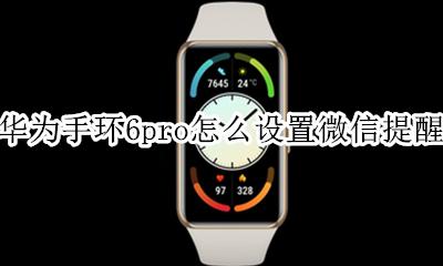 华为手环b6微信提示怎么设置 华为手环6pro怎么设置微信提醒