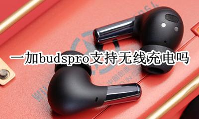 一加budsz充电 一加budspro支持无线充电吗