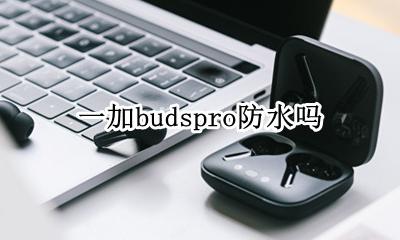 一加budspro防水吗 支持防水吗
