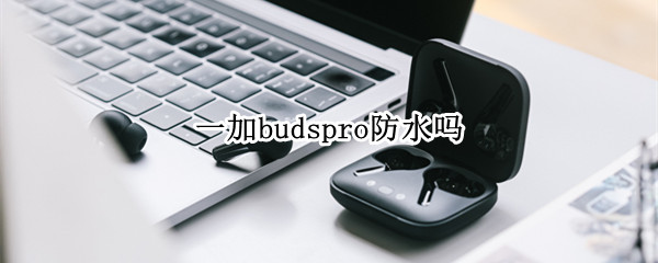 一加budspro防水吗