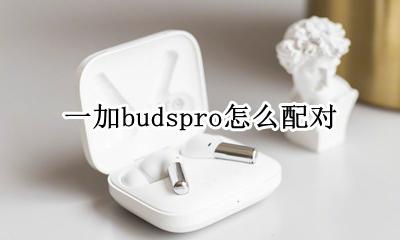 一加buds怎么使用 一加budspro怎么配对