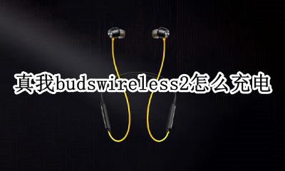 真我budswireless2怎么充电 真我budswireless2如何充电