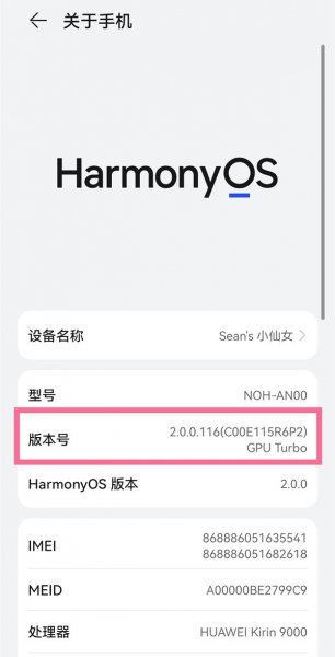 鸿蒙系统怎么进入开发者模式