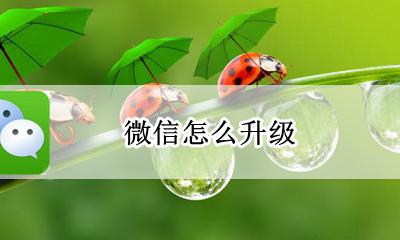微信怎么升级 怎么更新版本