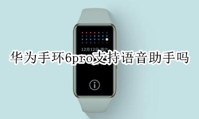 荣耀6手环支持语音助手吗 华为手环6pro支持语音助手吗