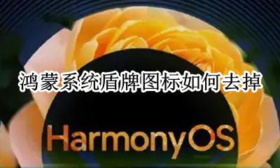 鸿蒙系统盾牌图标如何去掉 盾牌标志怎么取消