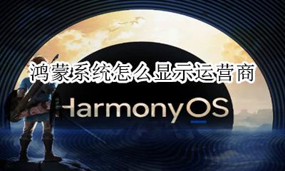 鸿蒙系统怎么显示运营商 设置运营商显示教程