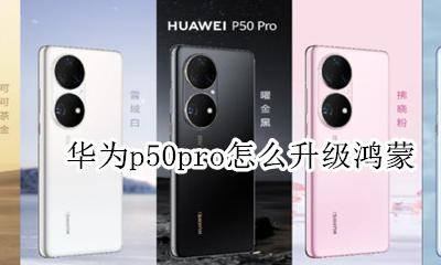 华为p50pro怎么升级鸿蒙 华为p50pro+能升级鸿蒙系统吗
