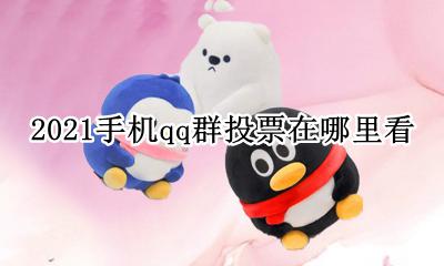 手机qq群投票不见了2021 2021手机qq群投票在哪里看
