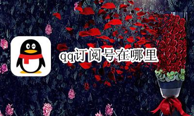 qq订阅号在哪里 qq怎么看订阅号