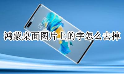 鸿蒙桌面图片上的字怎么去掉 鸿蒙桌面怎么去掉图片上的字