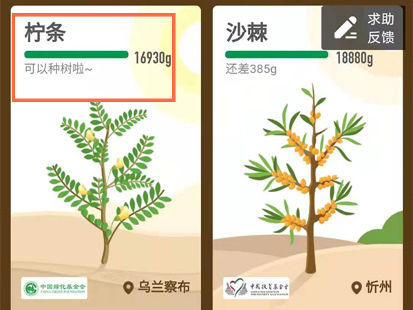 支付宝怎么种树