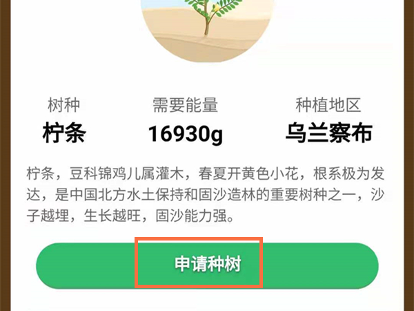 支付宝怎么种树