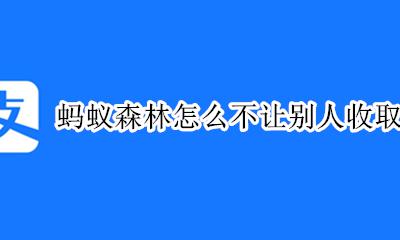 蚂蚁森林怎么不让别人收取能量 蚂蚁森林不能帮忙收取能量了吗
