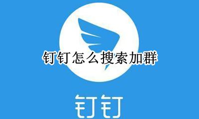 钉钉怎么搜索加群 钉钉如何搜群号加群