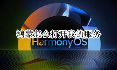 鸿蒙系统怎么看 鸿蒙怎么打开我的服务
