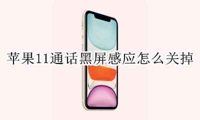 苹果11通话黑屏感应怎么关掉 iphone怎么关闭接电话黑屏的感应