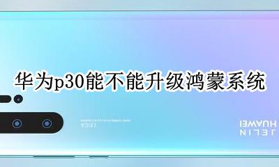 华为p30能不能升级鸿蒙系统 华为p30可以升级鸿蒙系统吗