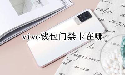 vivo钱包门禁卡在哪 vivos1钱包门禁卡在哪