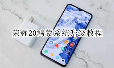 荣耀20鸿蒙系统升级教程 荣耀20青春版能升级鸿蒙系统吗