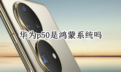 华为p50是鸿蒙系统吗 华为p50能用鸿蒙系统吗