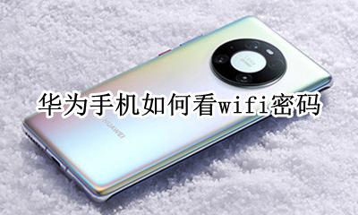 华为手机如何看wifi密码 华为手机如何看到wifi密码