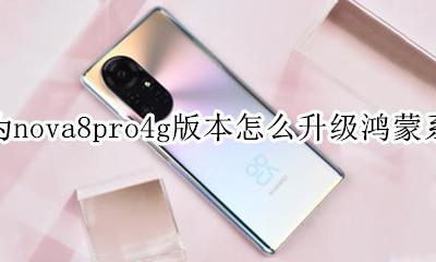 nova8e能升级鸿蒙系统吗? 华为nova8pro4g版本怎么升级鸿蒙系统