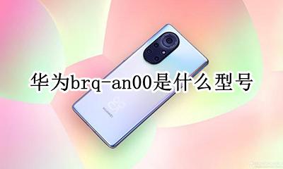 华为al00是什么型号 华为brq-an00是什么型号