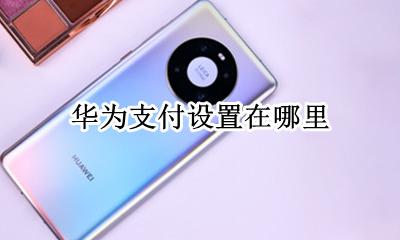 华为支付设置在哪里 华为钱包的默认支付选项怎么设置