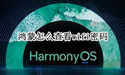鸿蒙怎么查看wifi密码 怎么分享wifi密码