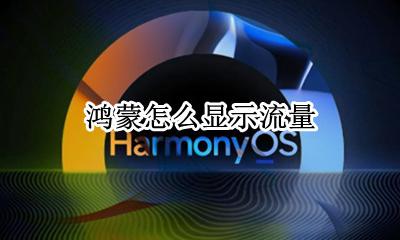 鸿蒙怎么显示流量 数据流量怎么显示