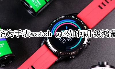 华为手表新款watch gt2鸿蒙 华为手表watch gt2如何升级鸿蒙