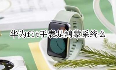 华为手表鸿蒙 华为fit手表是鸿蒙系统么