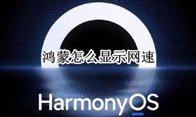 鸿蒙怎么显示网速 实时网速设置在哪