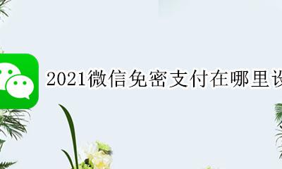 2021微信免密支付怎么关掉 2021微信免密支付在哪里设置