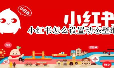 小红书怎么设置动态壁纸 设置动态壁纸教程
