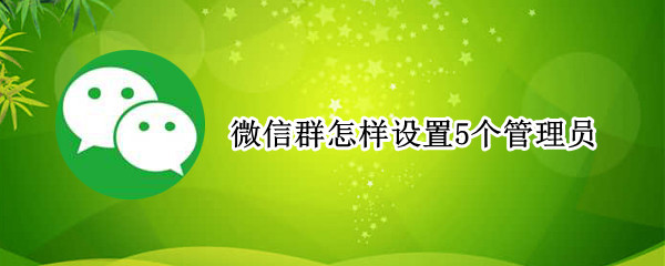 微信群怎样设置5个管理员