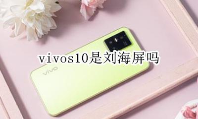 vivos10是刘海屏吗 vivo刘海屏有什么型号