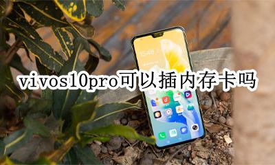 vivos10能插内存卡吗 vivos10pro可以插内存卡吗