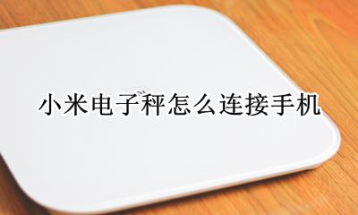 小米电子秤怎么使用 小米电子秤怎么连接手机