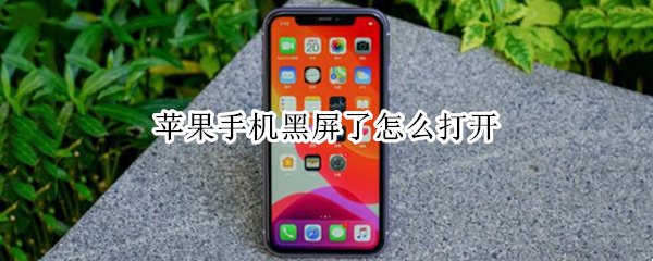 苹果手机黑屏了怎么打开