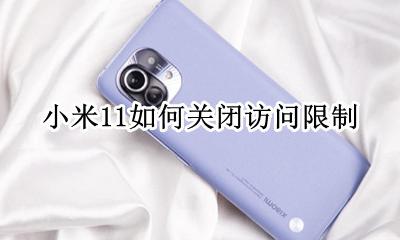 小米11怎么关闭应用 小米11如何关闭访问限制
