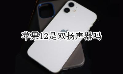 苹果12两个扬声器 苹果12是双扬声器吗