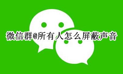 微信群@所有人怎么屏蔽声音 微信屏蔽群消息后@所有人仍有声音