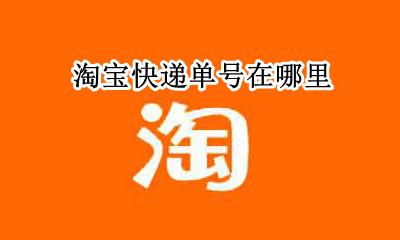 淘宝快递单号在哪里 淘宝快递单号是哪个地方
