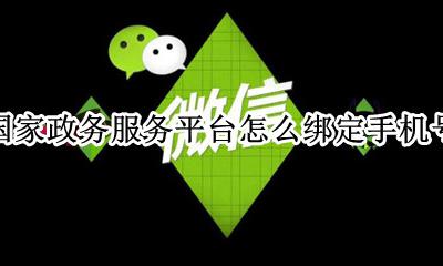 怎么解绑政务网的手机号 国家政务服务平台怎么绑定手机号